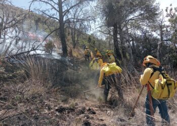 Gobierno de Puebla combate 301 incendios forestales con éxito en temporada 2024-2025
