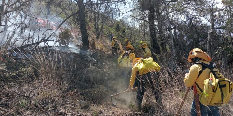 Gobierno de Puebla combate 301 incendios forestales con éxito en temporada 2024-2025