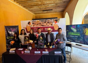 Con avistamiento de luciérnaga, Tlahuapan proyecta derrama económica de 6 millones
