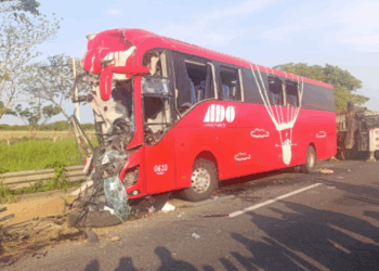 Fatal accidente en Veracruz: choca autobús ADO con tráiler; hay un muerto y al menos 20 heridos