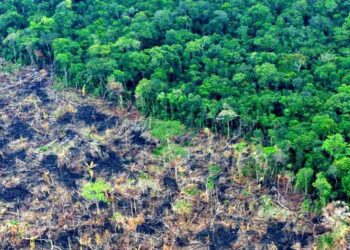 Crisis ambiental global y nacional: desafíos urgentes en 2025