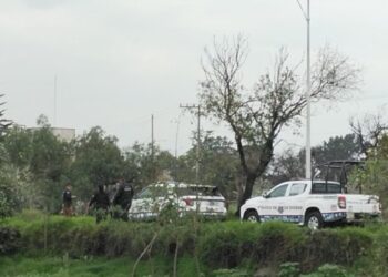 Localizan cuerpo con heridas de arma blanca en barranco de San Aparicio