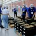 Puebla exporta 7 toneladas de pitaya a EE. UU.; Huitziltepec lidera producción estatal