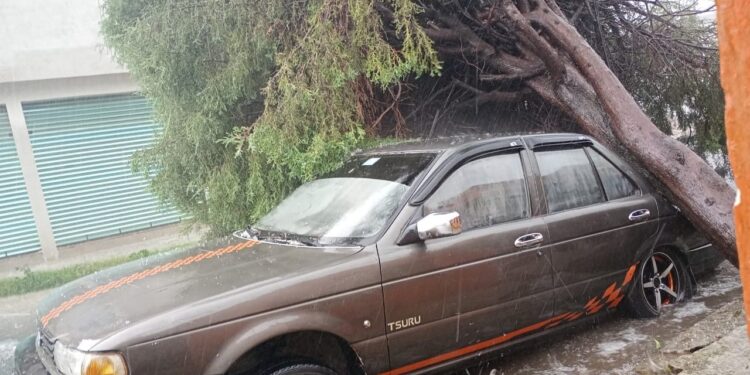 Gobierno de la Ciudad actiprotocolos de atención por lluvias en distintos puntos del municipio