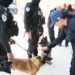 Certifica Puebla a 16 instructores caninos para reforzar la Seguridad Pública