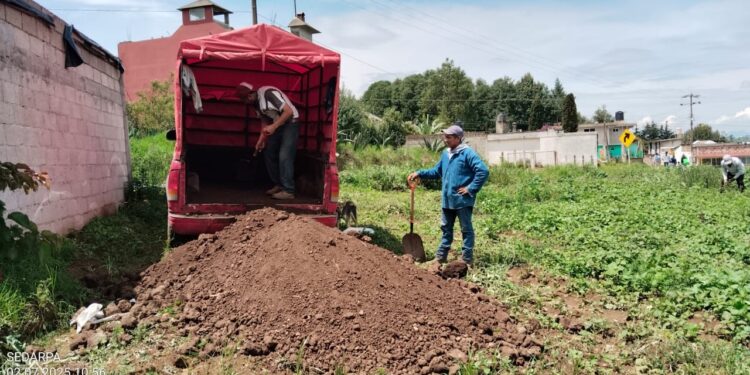 Biofertilizante de Altosano-Granjas Carroll impulsa agricultura sustentable en Veracruz y Puebla