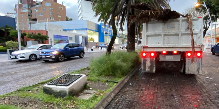 Atiende Gobierno de la Ciudad reportes en distintas zonas por lluvias