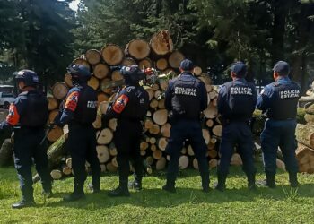 Recuperan Policía Estatal Forestal de Puebla y Tlaxcala tres metros cúbicos de madera