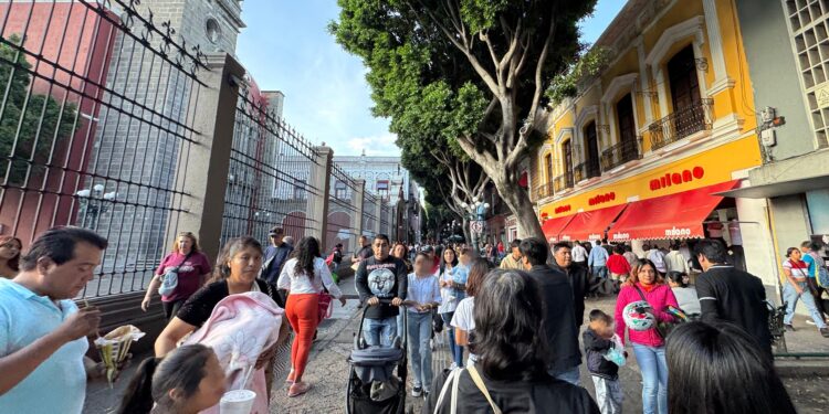 Reordenamiento de comercio popular permanecerá hasta fin de año: Pepe Chedraui