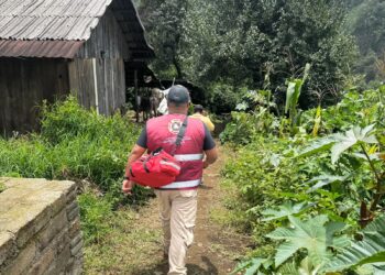 Deslizamiento de tierra en Chiconcuautla deja una persona fallecida