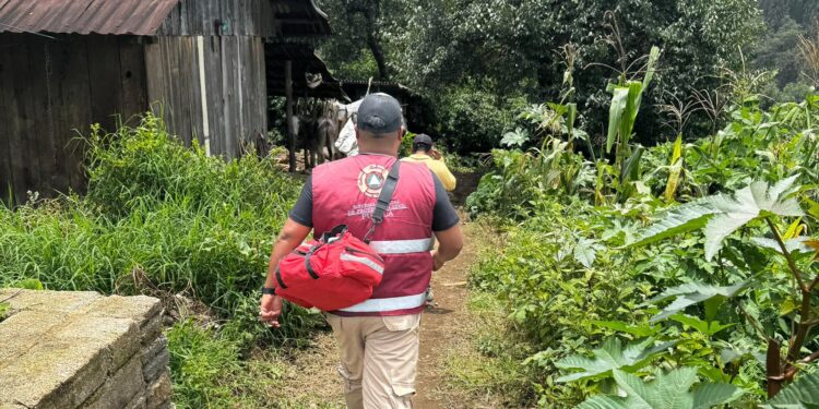 Deslizamiento de tierra en Chiconcuautla deja una persona fallecida