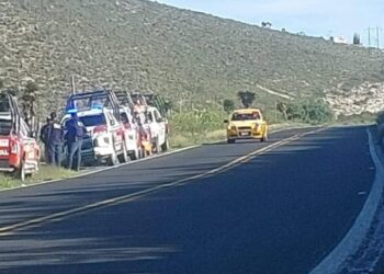 Localizan restos humanos en bolsas abandonadas en Nicolás Bravo