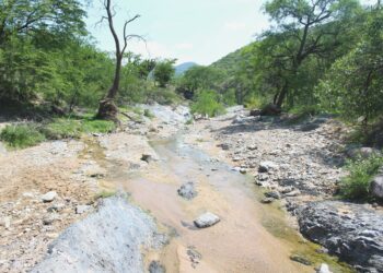 CEASPUE impulsa buenas prácticas para recarga de manantiales en la Mixteca poblana