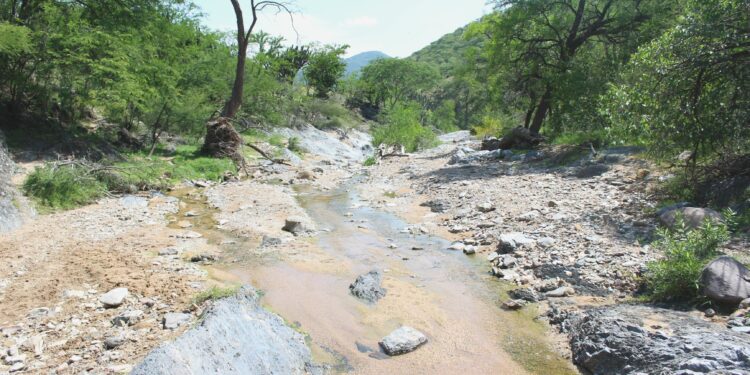 CEASPUE impulsa buenas prácticas para recarga de manantiales en la Mixteca poblana