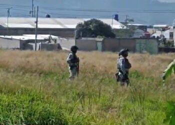 Hallan cuerpo sin vida en Bosques de Manzanilla; presentaba huellas de violencia