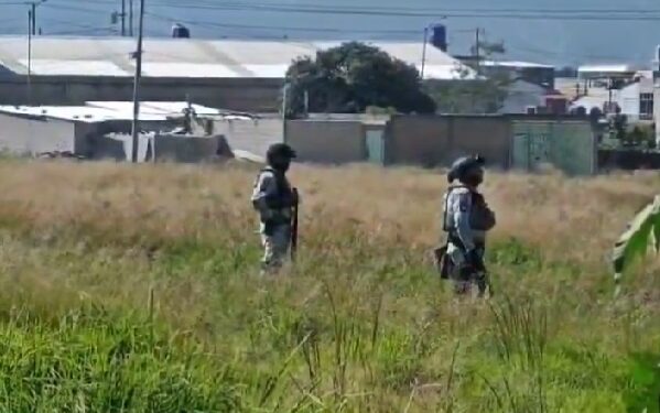 Hallan cuerpo sin vida en Bosques de Manzanilla; presentaba huellas de violencia