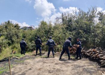 Aseguran Policía Forestal de Puebla y de Montaña de Tlaxcala hornos clandestinos de madera