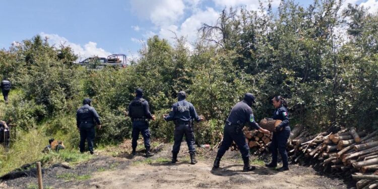 Aseguran Policía Forestal de Puebla y de Montaña de Tlaxcala hornos clandestinos de madera