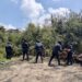 Aseguran Policía Forestal de Puebla y de Montaña de Tlaxcala hornos clandestinos de madera
