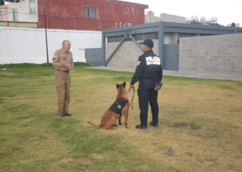 Unidad Canina K9 recibe certificación internacional