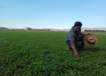 Impulsa Altosano Granjas Carroll la reconversión agrícola en Puebla y Veracruz