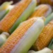 Agricultores advierten “catástrofe alimentaria” por aranceles de EE.UU.