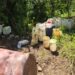 Destruyen seis laboratorios clandestinos en Sinaloa; afectación al crimen es de 219 mdp