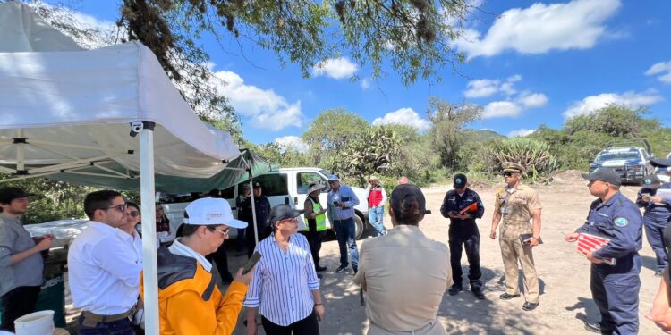 Puebla busca replicar buenas prácticas para el retiro de lirio en Valsequillo