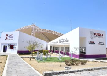 Casas Carmen Serdán suma más de 6 mil denuncias atendidas; brindan apoyo a miles de mujeres