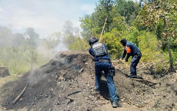Inhabilitan cinco hornos clandestinos en zona forestal de San Nicolás de los Ranchos
