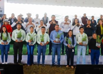 Entregan más de 65 mil árboles en la Sierra Norte como parte del plan de reforestación