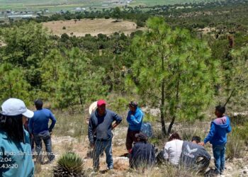 Reforesta Altosano Granjas Carroll en San Luis Atexcac, como parte de agenda con la ONU