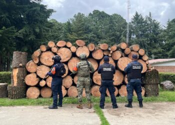 En operativos, SSP asegura más de 130 piezas de madera