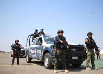 Labores preventivas, permiten resultados exitosos de la Policía Forestal