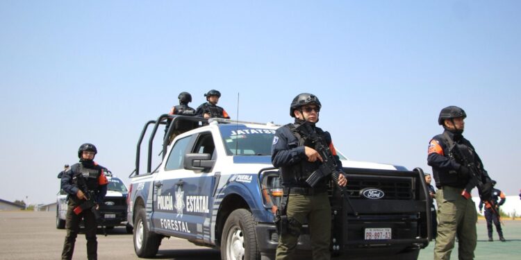 Labores preventivas, permiten resultados exitosos de la Policía Forestal