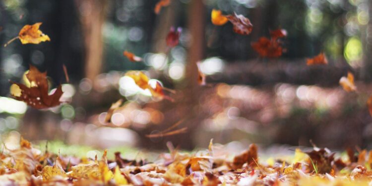 ¿Cuándo inicia el otoño en México?