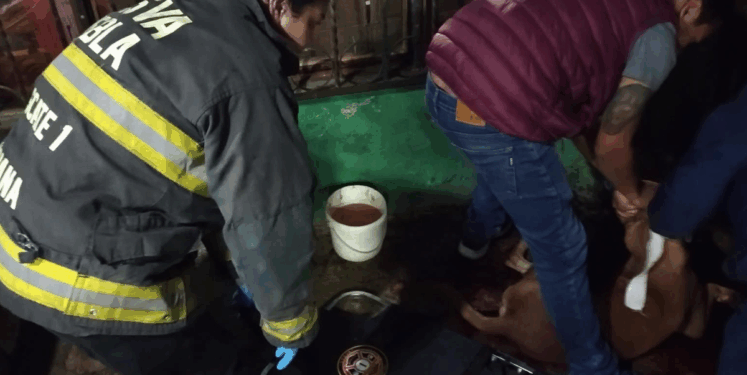 Pelea entre banditas en San Ramón deja varios heridos, incluidos perros