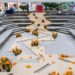 IBERO Puebla recibe a quienes lucharon por un mundo mejor en la Ofrenda Monumental 2025