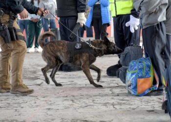 SSC mantiene proximidad y refuerza la seguridad en la BUAP