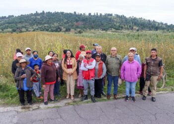 Arranca Tonantzin Fernández la rehabilitación del alumbrado público en todo el municipio