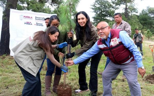 Impulsan reforestación y liberan gavilanes para proteger el Cerro Zapotecas