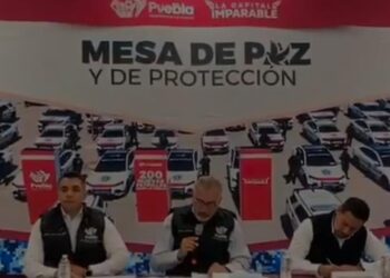 Saldo de lluvias en Puebla capital: 81 árboles caídos y más de mil 300 acciones preventivas