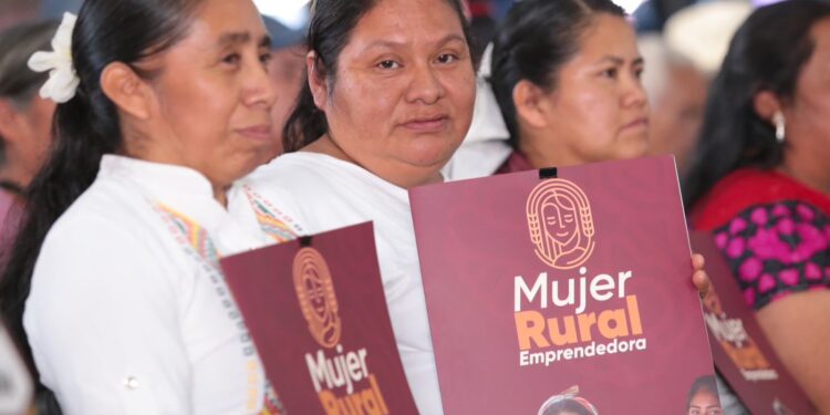 Con inversión de 8 mdp, gobierno estatal reconstruye campo afectado en Huauchinango
