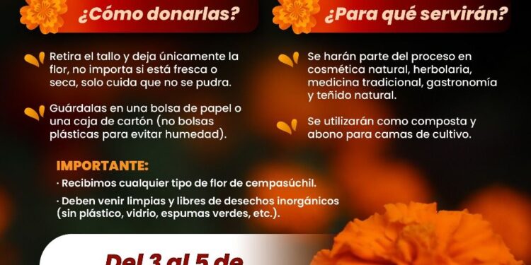 Abre Gobierno de la Ciudad centro de acopio para aprovechamiento de flor de cempasúchil