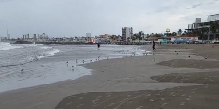Cierran puerto de Veracruz por evento de Norte y frente frío 13