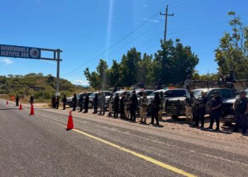 Refuerzan seguridad en zonas limítrofes de Puebla y Guerrero con operativo conjunto
