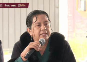 Producción agrícola y sanidad animal, prioridades en Puebla: Altamirano
