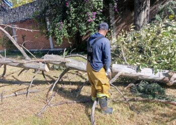 Gobierno de San Pedro Cholula responde ante afectaciones por el Frente Frío No. 13
