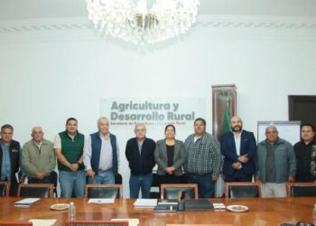 Productores de cebada en Puebla buscan acuerdos para mejorar precios y producción