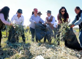 Vecinos y autoridades se unen para recuperar espacios urbanos en Cuautlancingo